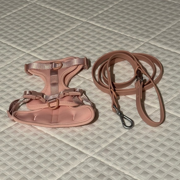Wild One Harness & Leash Bundle